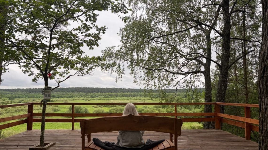 Serene scene of an individual meditating on a deck with a lush forest view.