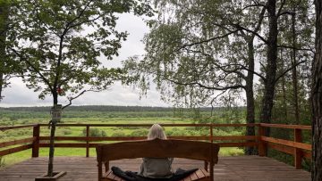 Serene scene of an individual meditating on a deck with a lush forest view.