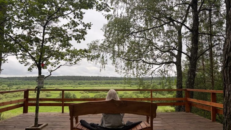 Serene scene of an individual meditating on a deck with a lush forest view.